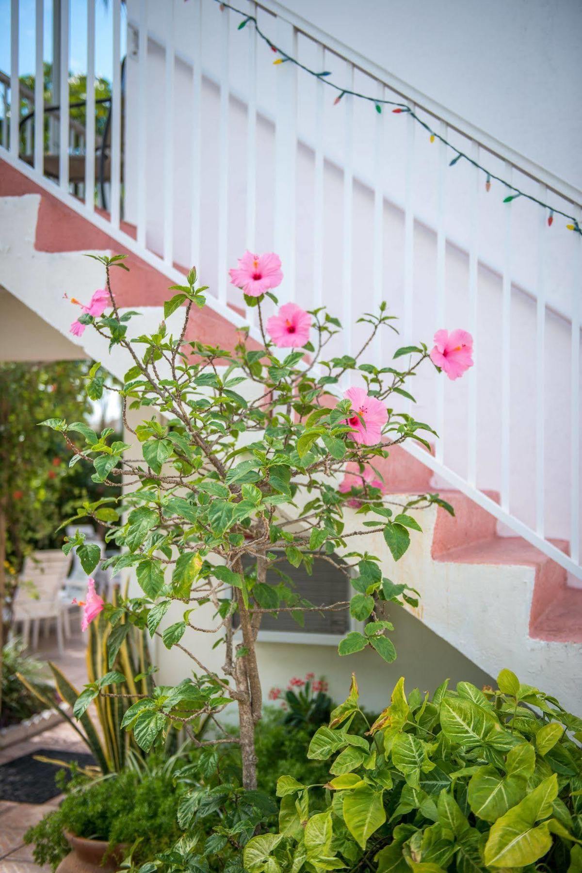 Shore Haven Resort Inn Fort Lauderdale Exterior foto